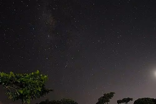 邊走邊聊浸水營活動照片