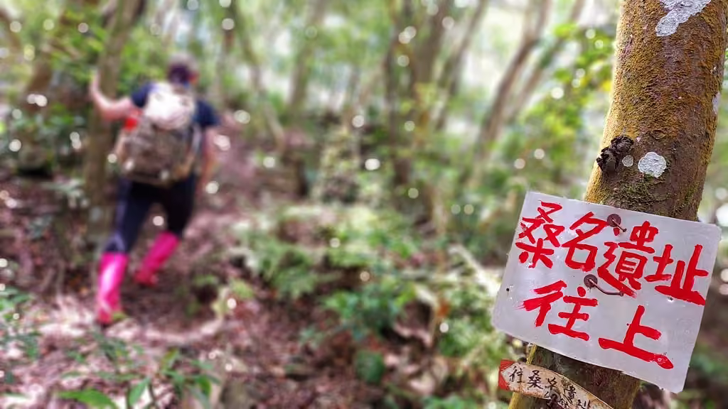 東方足跡六龜特別警備道津野古道活動照片
