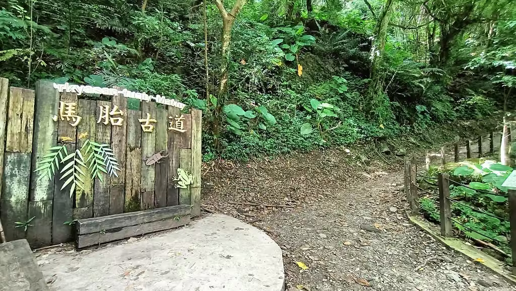東方足跡馬胎古道曬柿餅活動照片