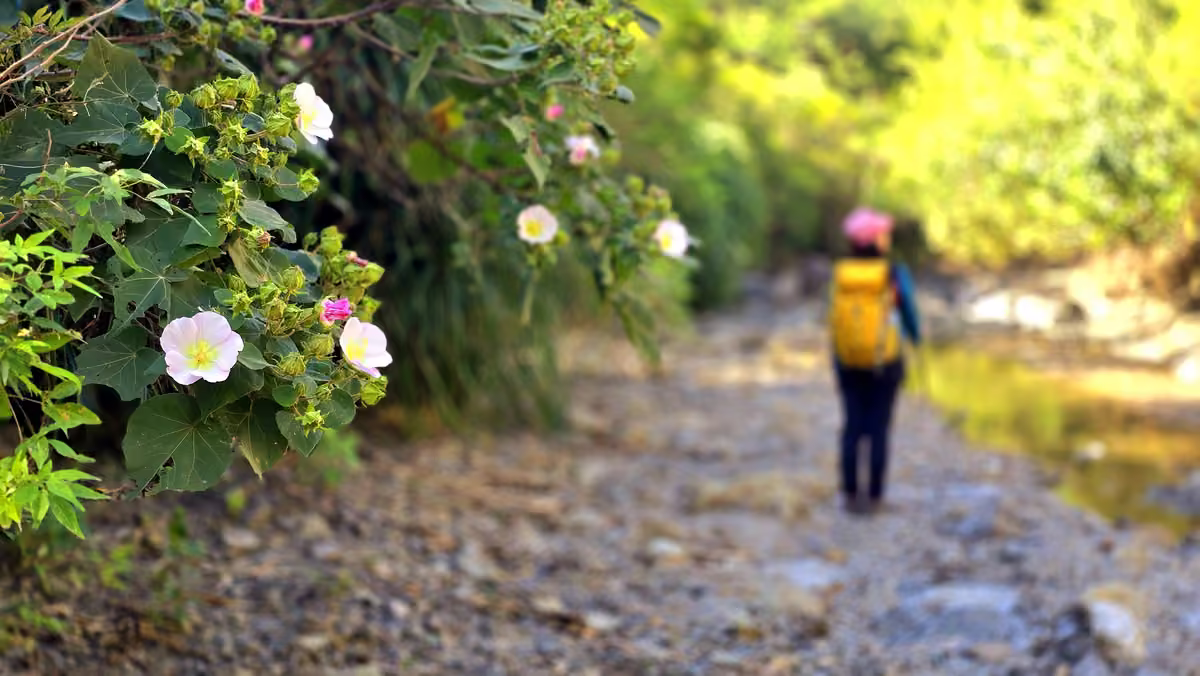 東方足跡門馬羅越嶺古道活動照片