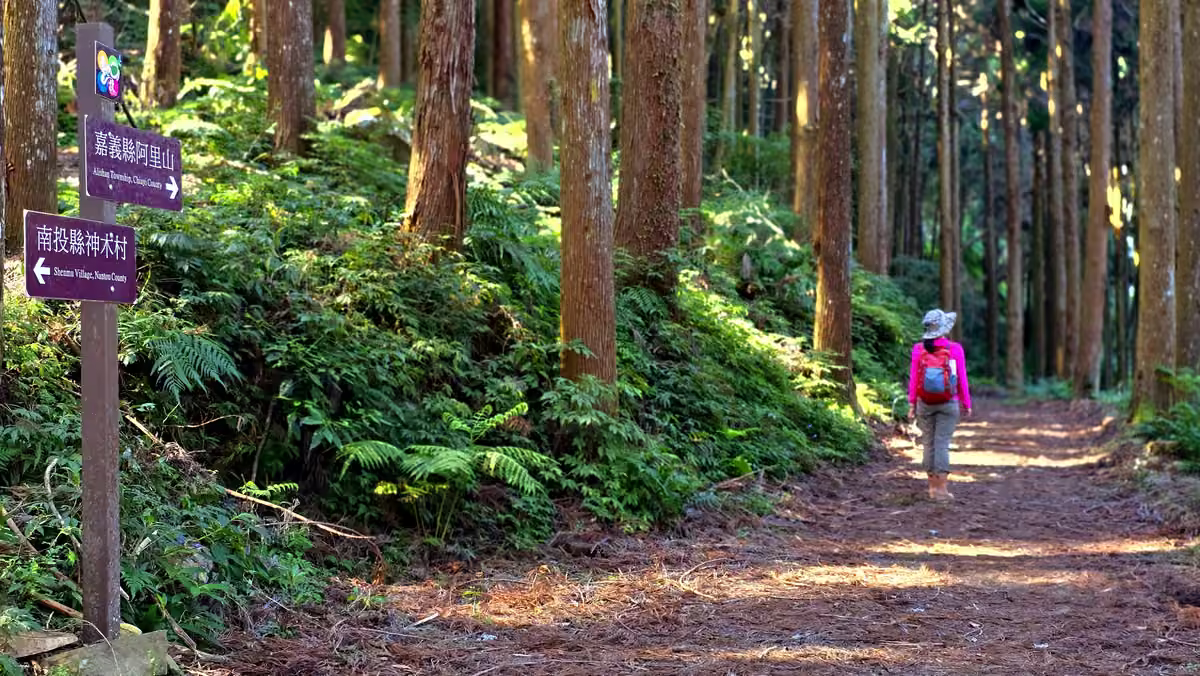 東方足跡神阿古道活動照片