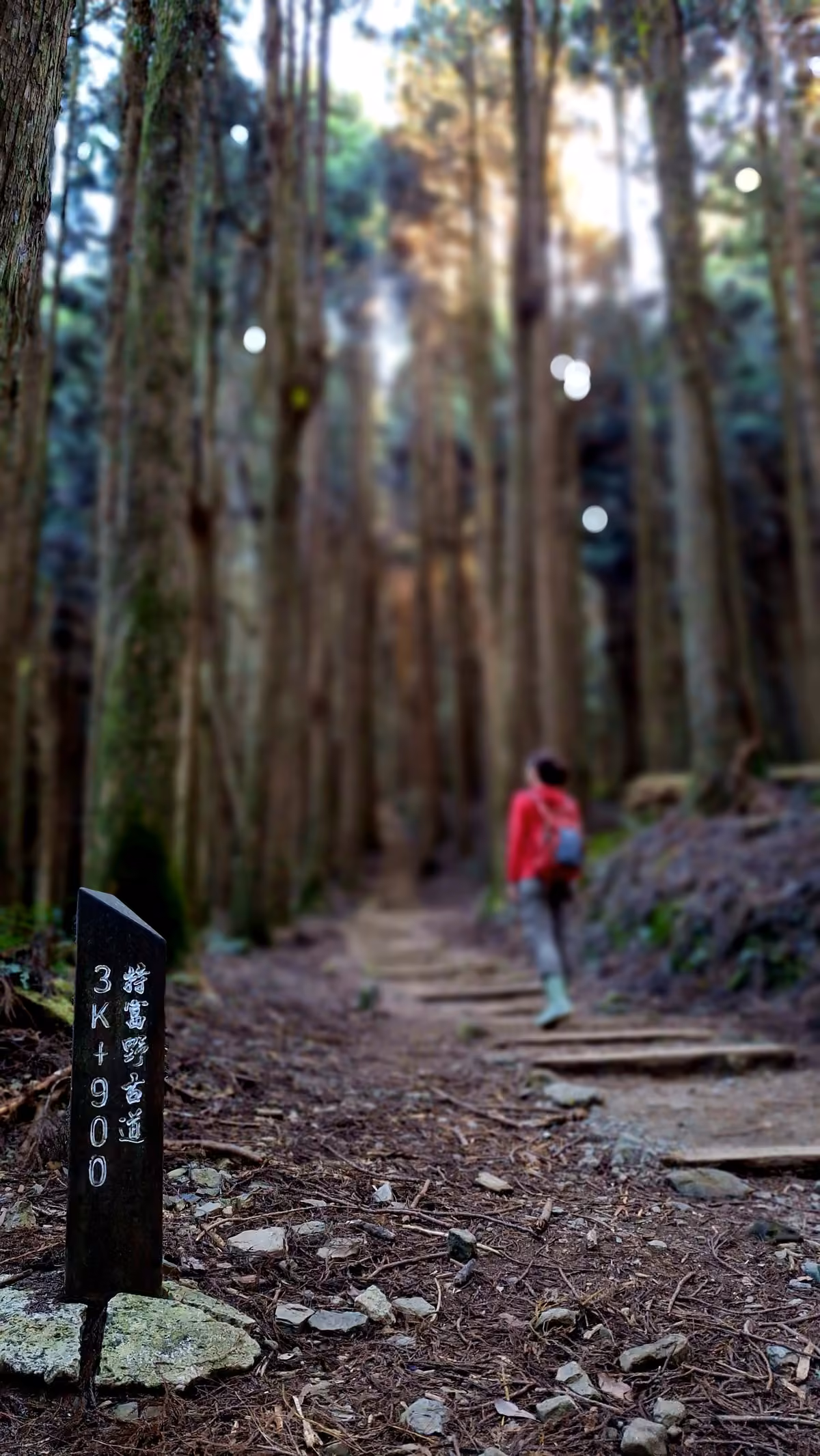 東方足跡特富野古道活動照片