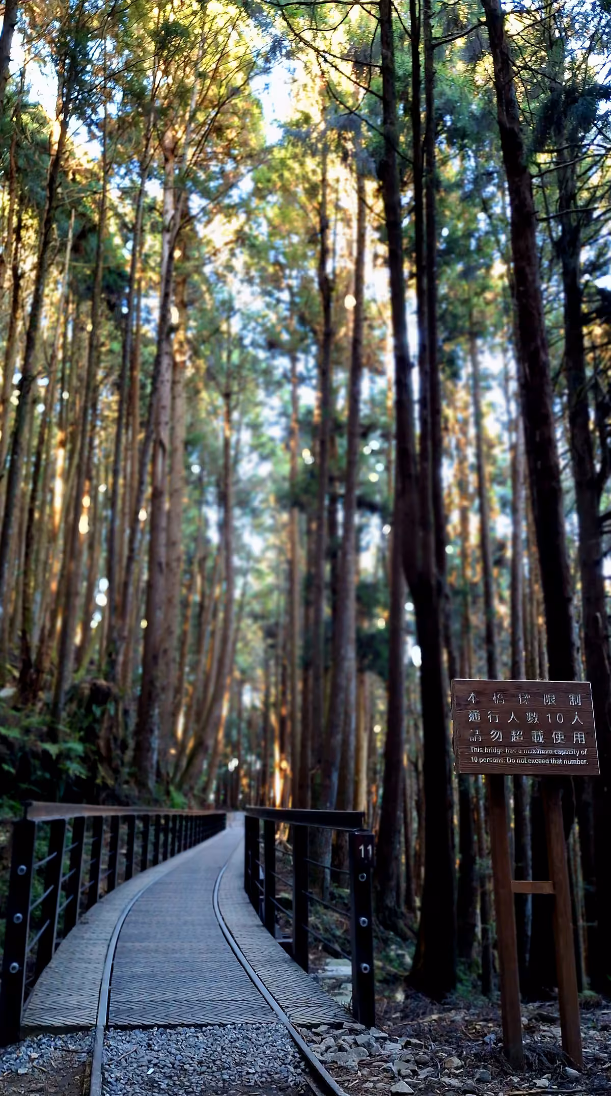 東方足跡特富野古道活動照片